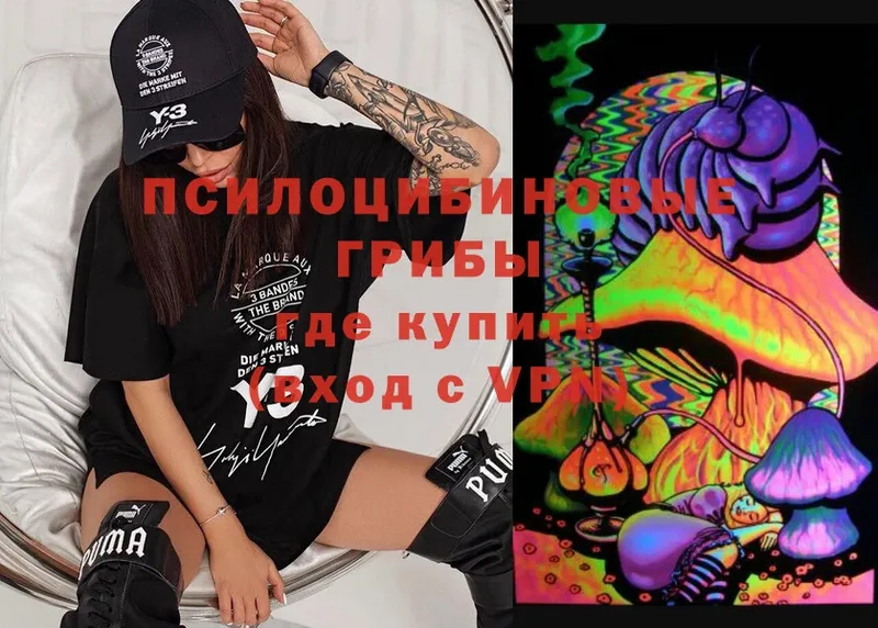 Псилоцибиновые грибы Cubensis  Буйнакск 